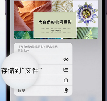 昌吉apple维修中心分享iPhone文件应用中存储和找到下载文件