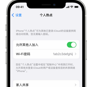 昌吉apple服务站点分享iPhone上个人热点丢失了怎么办