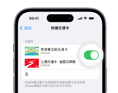 昌吉apple维修点分享iPhone上更换Apple Pay快捷交通卡手绘卡面 