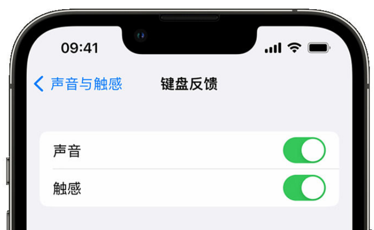 昌吉苹果手机维修分享iPhone 14触感键盘使用方法 