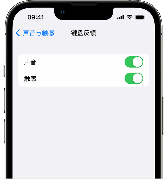 昌吉苹果14维修店分享如何在 iPhone 14 机型中使用触感键盘 