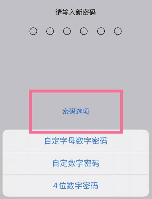 昌吉苹果14维修分享iPhone 14plus设置密码的方法 