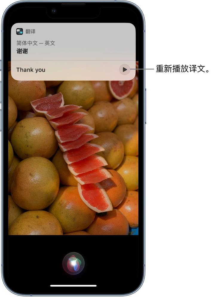 昌吉苹果14维修分享 iPhone 14 机型中使用 Siri：了解 Siri 能帮你做什么 