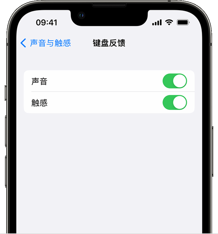 昌吉苹果14维修分享iPhone 14 系列机型如何开启键盘声音或触感反馈 