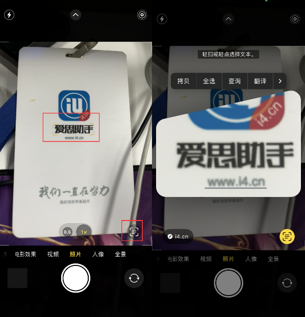 昌吉苹果手机维修分享升级iOS 16后如何通过相机翻译文本 
