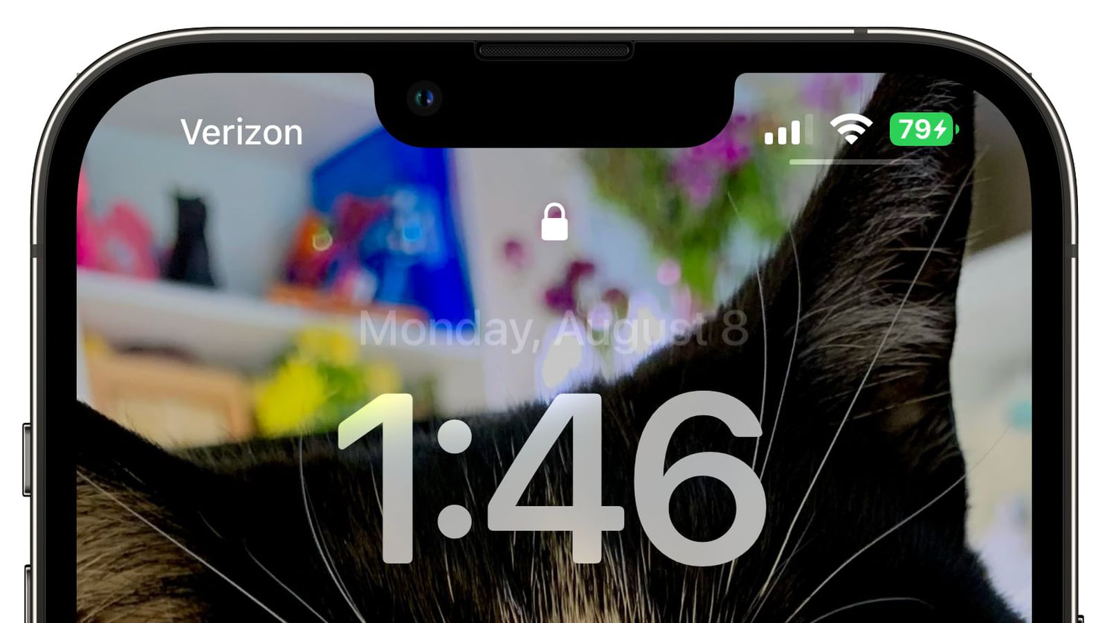 昌吉苹果手机维修分享iOS 16 beta 5 支持状态栏显示电池百分比，如何开启？支持哪些机型 