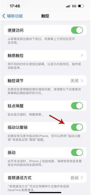 昌吉苹果手机维修分享iPhone手机如何设置摇一摇删除文字 