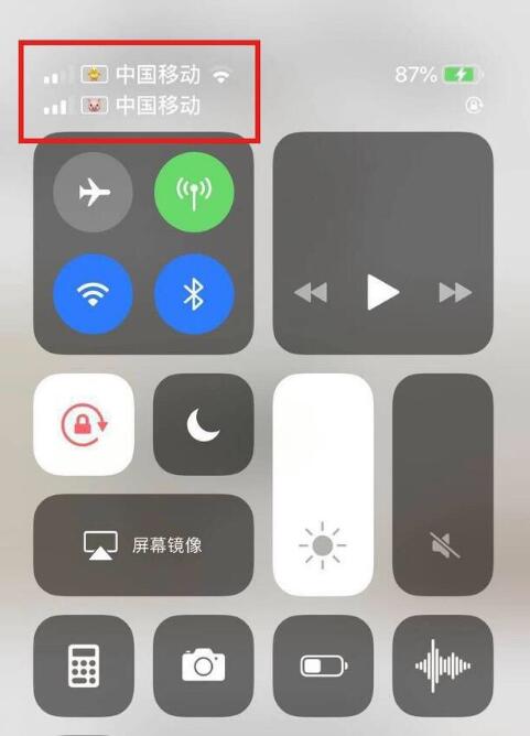 昌吉苹果手机维修分享为 iPhone 12 双卡设置标签 